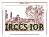 IRCCS Rizzoli Orthopaedic Institute - Bologna